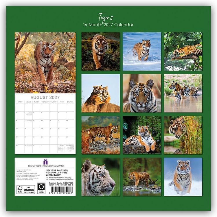 Produktbild: Tigers &ndash; Tiger 2027 &ndash; 16-Monatskalender