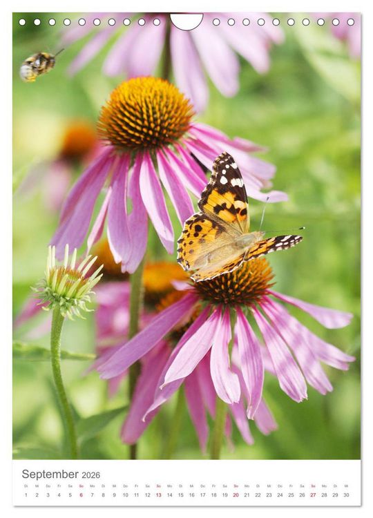 Produktbild: Bunter Sommer (Wandkalender 2026 DIN A4 hoch), CALVENDO Monatskalender