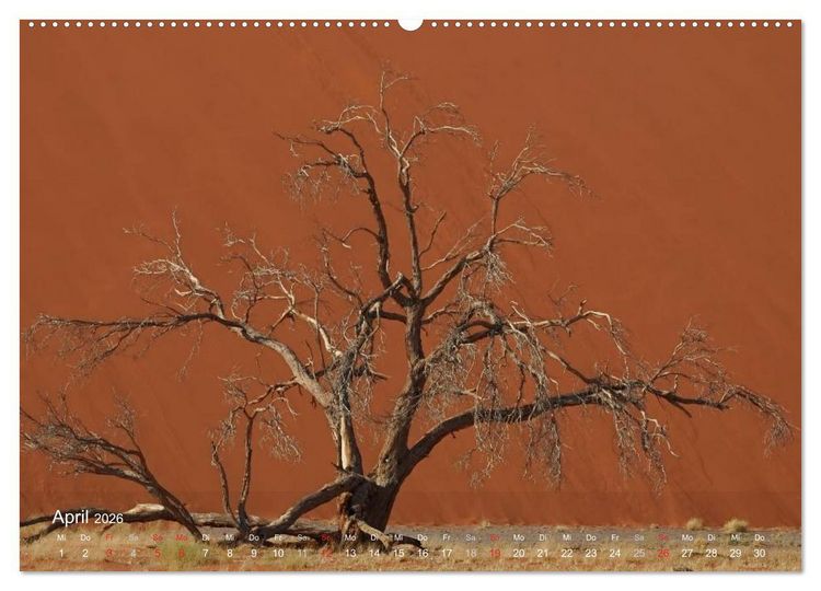 Produktbild: Afrikanische B&auml;ume (Wandkalender 2026 DIN A2 quer), CALVENDO Monatskalender