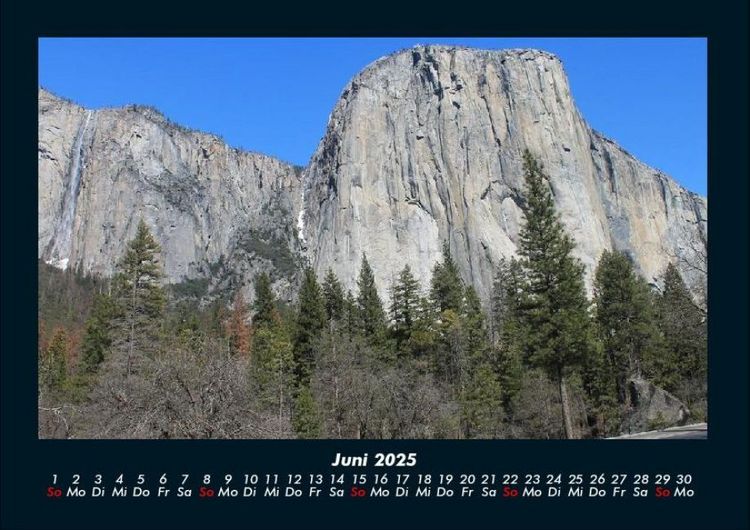 Produktbild: B&auml;ume 2025 Fotokalender DIN A4