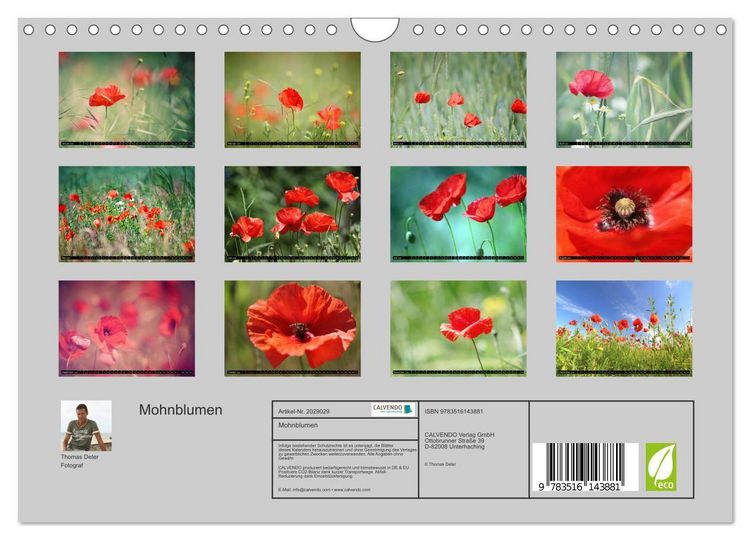 Produktbild: Mohnblumen (Wandkalender 2026 DIN A4 quer), CALVENDO Monatskalender