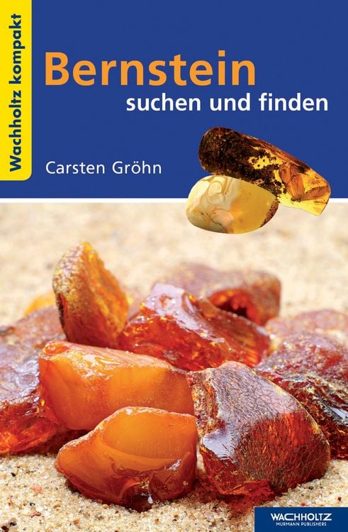 Produktbild: Bernstein suchen und finden KOMPAKT