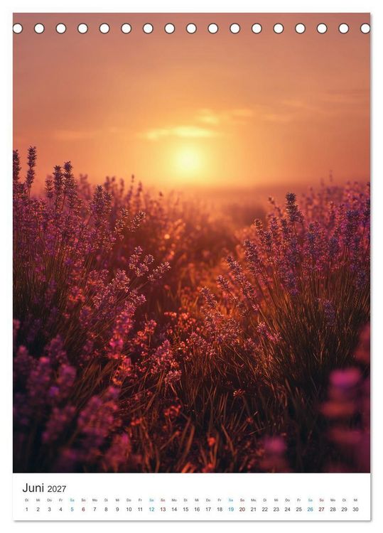 Produktbild: Der Sommer bl&uuml;ht violett (Tischkalender 2027 DIN A5 hoch), CALVENDO Monatskalender