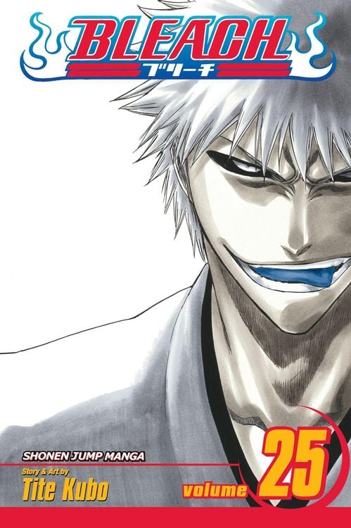 Produktbild: Bleach,  25