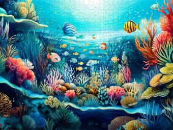 Produktbild: CALVENDO Puzzle Korallenriff | 1000 Teile Lege-Gr&ouml;&szlig;e 64x48cm Foto-Puzzle f&uuml;r gl&uuml;ckliche Stunden