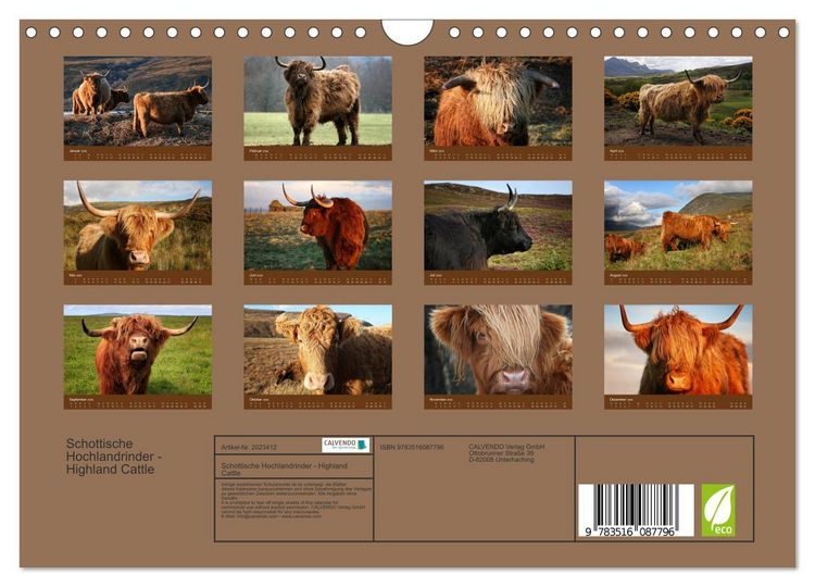 Produktbild: Schottische Hochlandrinder - Highland Cattle (Wandkalender 2026 DIN A4 quer), CALVENDO Monatskalender