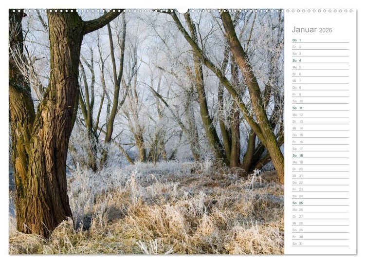 Produktbild: Im Deutschen Wald 2026 - ein Notizkalender (Wandkalender 2026 DIN A2 quer), CALVENDO Monatskalender