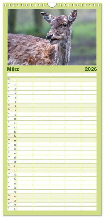 Produktbild: Familienplaner 2026 - Heimische Tiere - Rehe mit 5 Spalten (Wandkalender, 21 x 45 cm) CALVENDO