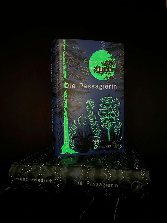Produktbild: Die Passagierin