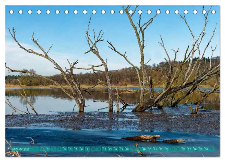 Produktbild: Flusslandschaft Elbe (Tischkalender 2026 DIN A5 quer), CALVENDO Monatskalender