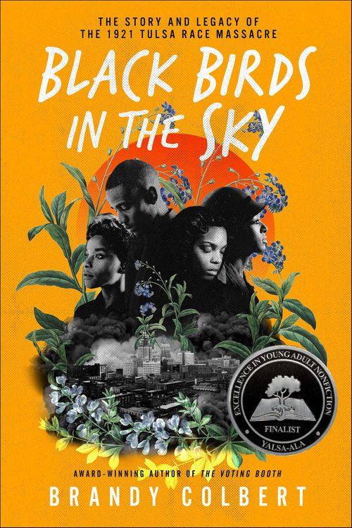 Produktbild: Black Birds in the Sky