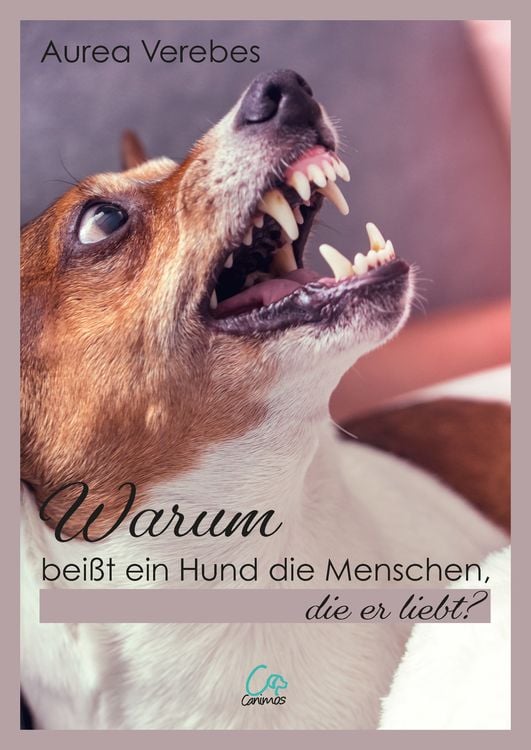 Produktbild: Warum beißt ein Hund die Menschen, die er liebt?