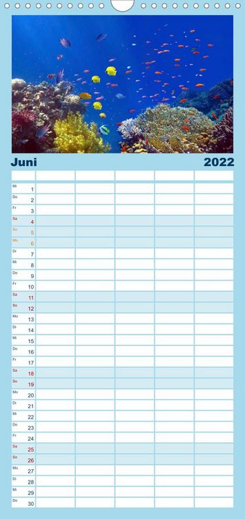 Produktbild: Riffleben - Einfach mal abtauchen - Familienplaner hoch (Wandkalender 2022 , 21 cm x 45 cm, hoch)