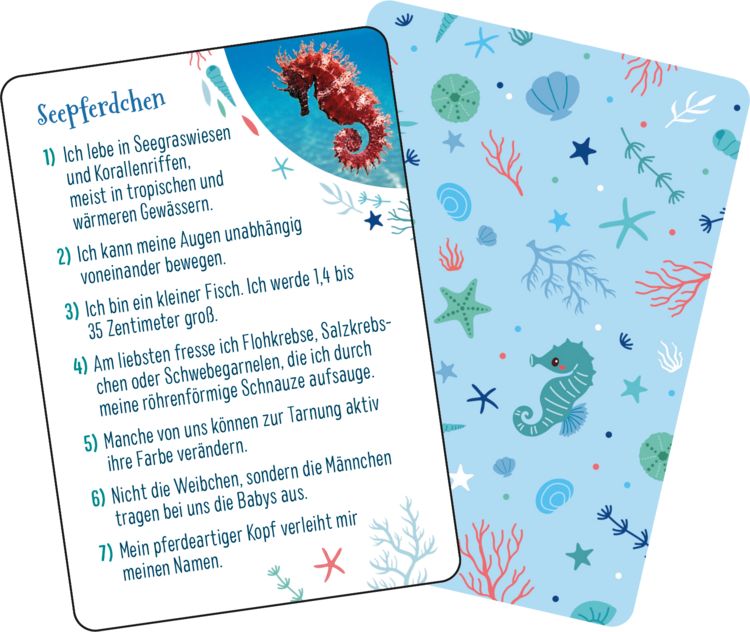 Produktbild: Kennst du das Meer?