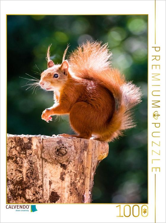 Produktbild: CALVENDO Puzzle Ein Motiv aus dem Kalender H&ouml;rnchen aus aller Welt | 1000 Teile Lege-Gr&ouml;&szlig;e 64x48cm Foto-Puzzle f&uuml;r gl&uuml;ckliche Stunden