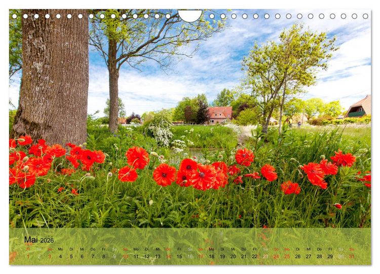 Produktbild: Nordsee - Traum (Wandkalender 2026 DIN A4 quer), CALVENDO Monatskalender
