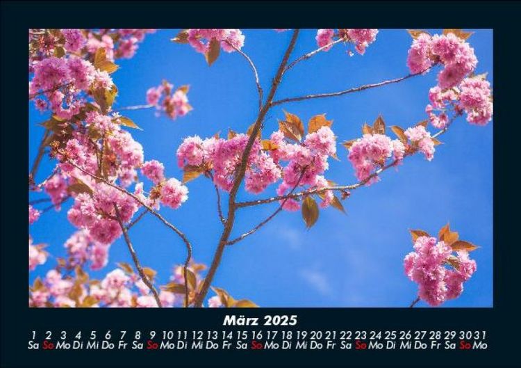 Produktbild: Naturlandschaften 2025 Fotokalender DIN A5