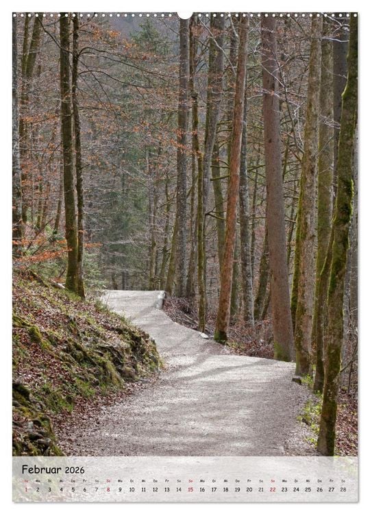 Produktbild: Wege als Traumpfade (Wandkalender 2026 DIN A2 hoch), CALVENDO Monatskalender