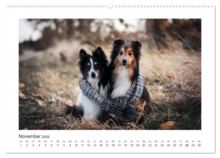 Produktbild: Herzenshunde 2026 (hochwertiger Premium Wandkalender 2026 DIN A2 quer), Kunstdruck in Hochglanz