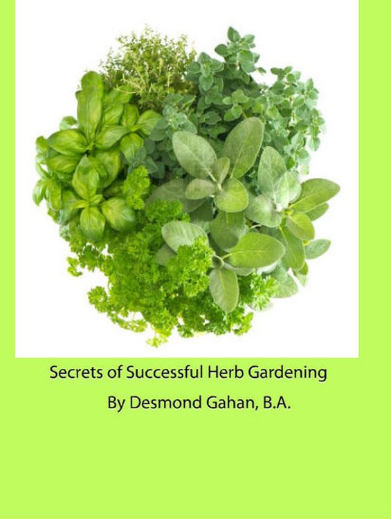 Produktbild: Secrets of Successful Herb Gardening