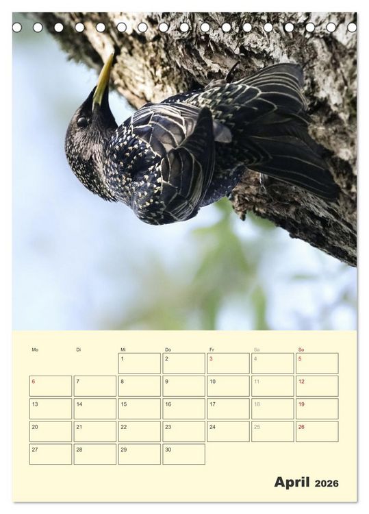 Produktbild: Vogelwelt an der Sieg (Tischkalender 2026 DIN A5 hoch), CALVENDO Monatskalender