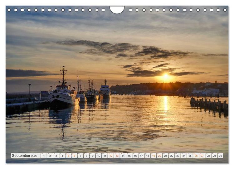 Produktbild: R&uuml;genliebe 2026 (Wandkalender 2026 DIN A4 quer), CALVENDO Monatskalender