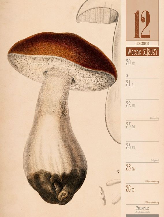 Produktbild: Culinarium Wochenplaner Kalender 2027 | K&uuml;che, Kr&auml;uter, Kurioses