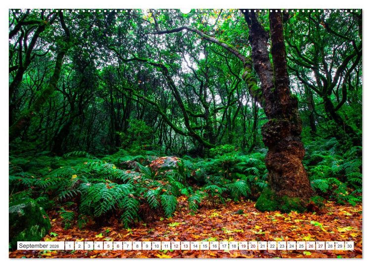 Produktbild: Madeira - Eine Perle im Atlantischen Ozean (Wandkalender 2026 DIN A2 quer), CALVENDO Monatskalender
