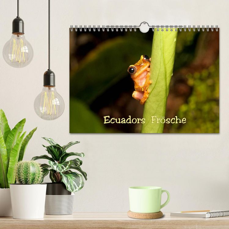 Produktbild: Ecuadors Fr&ouml;sche (Wandkalender 2026 DIN A4 quer), CALVENDO Monatskalender