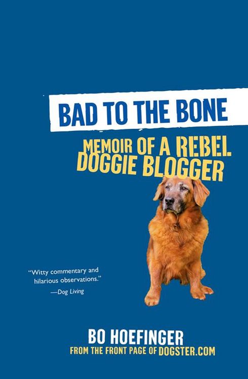 Produktbild: Bad to the Bone: