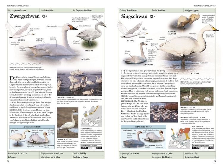 Produktbild: V&ouml;gel in Europa