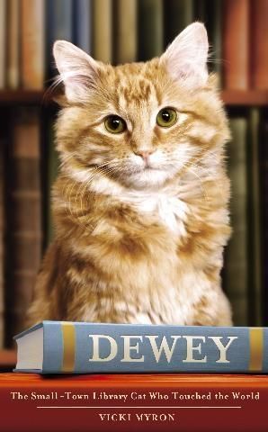 Produktbild: Dewey