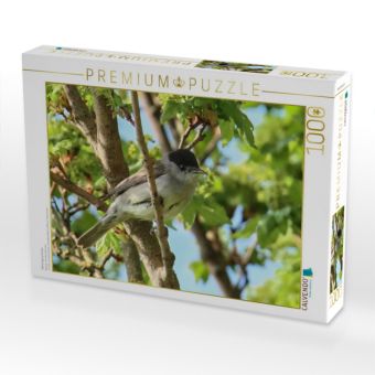 Produktbild: CALVENDO Puzzle M&ouml;nchsgrasm&uuml;cke | 1000 Teile Lege-Gr&ouml;&szlig;e 64x48cm Foto-Puzzle f&uuml;r gl&uuml;ckliche Stunden