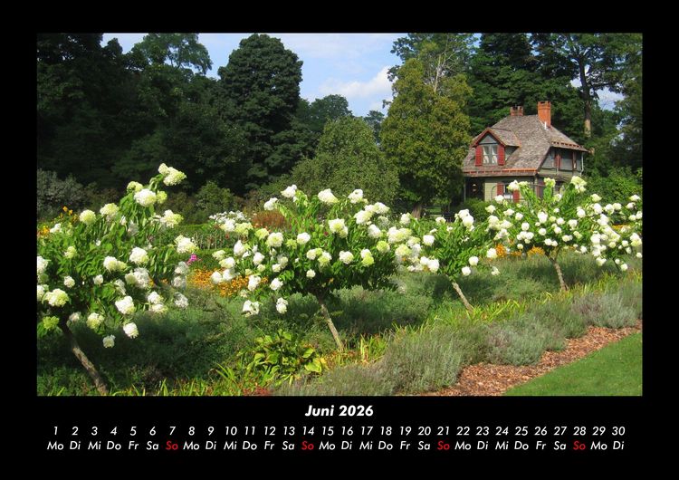 Produktbild: Blumenkalender 2026 Fotokalender DIN A3