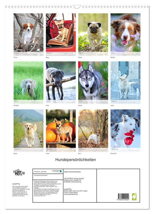 Produktbild: Hundepers&ouml;nlichkeiten (Wandkalender 2026 DIN A2 hoch), CALVENDO Monatskalender