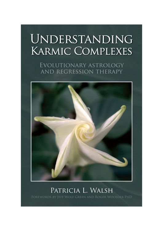 Produktbild: Understanding Karmic Complexes