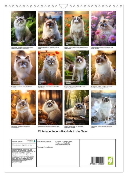 Produktbild: Pfotenabenteuer - Ragdolls in der Natur (Wandkalender 2026 DIN A3 hoch), CALVENDO Monatskalender