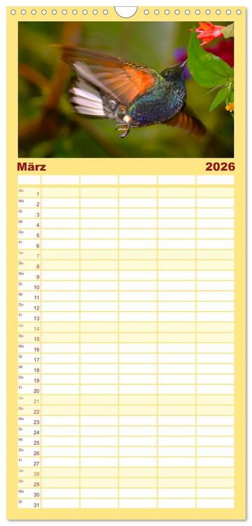 Produktbild: Familienplaner 2026 - Kolibris; Anmut, Sch&ouml;nheit, Farben mit 5 Spalten (Wandkalender, 21 x 45 cm) CALVENDO