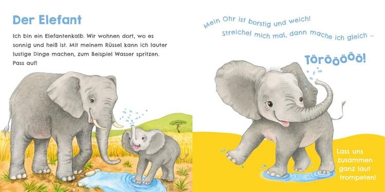 Produktbild: H&ouml;r mal, wie ich tr&ouml;ten kann (Mein erstes Streichel-Soundbuch 4)