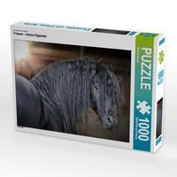 Produktbild: CALVENDO Puzzle Friesen - stolze Giganten 1000 Teile Lege-Gr&ouml;&szlig;e 64 x 48 cm Foto-Puzzle Bild von Martina Wrede