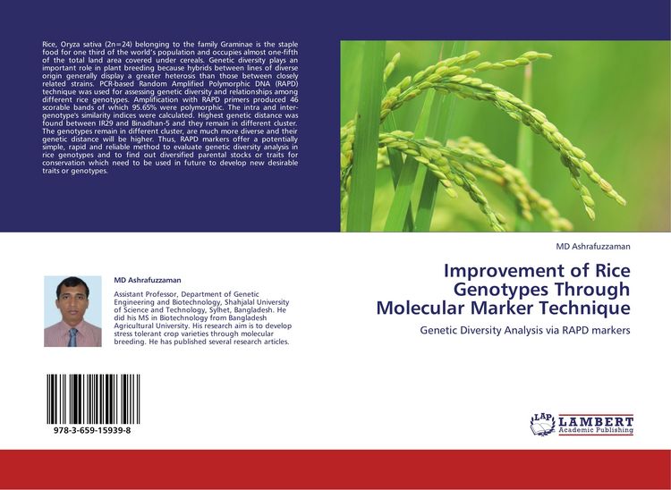 Produktbild: Improvement of Rice Genotypes Through Molecular Marker Technique