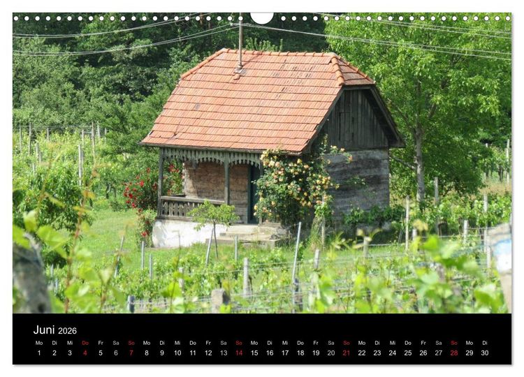 Produktbild: Weinidylle im S&uuml;dburgenland (Wandkalender 2026 DIN A3 quer), CALVENDO Monatskalender