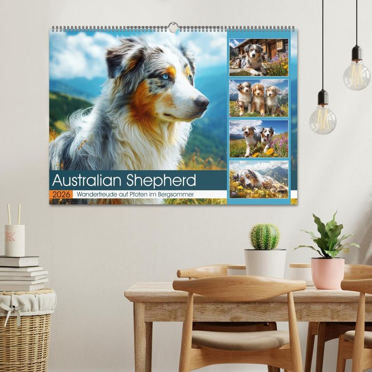 Produktbild: Australian Shepherd. Wanderfreude auf Pfoten im Bergsommer (Wandkalender 2026 DIN A2 quer), CALVENDO Monatskalender