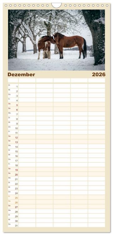 Produktbild: Familienplaner 2026 - Spiegel deiner Seele mit 5 Spalten (Wandkalender, 21 x 45 cm) CALVENDO