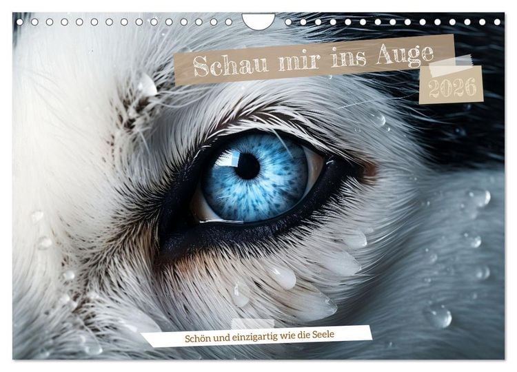 Produktbild: Schau mir ins Auge (Wandkalender 2026 DIN A4 quer), CALVENDO Monatskalender