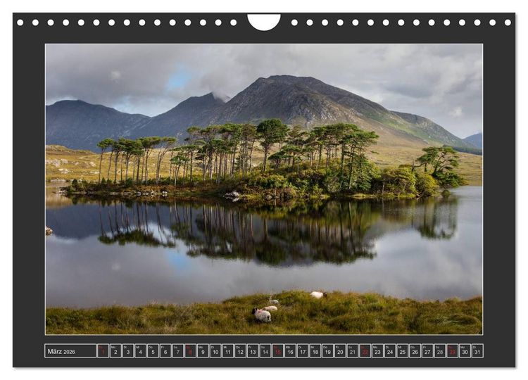 Produktbild: IRLAND - Insel der gl&uuml;cklichen Schafe (Wandkalender 2026 DIN A4 quer), CALVENDO Monatskalender