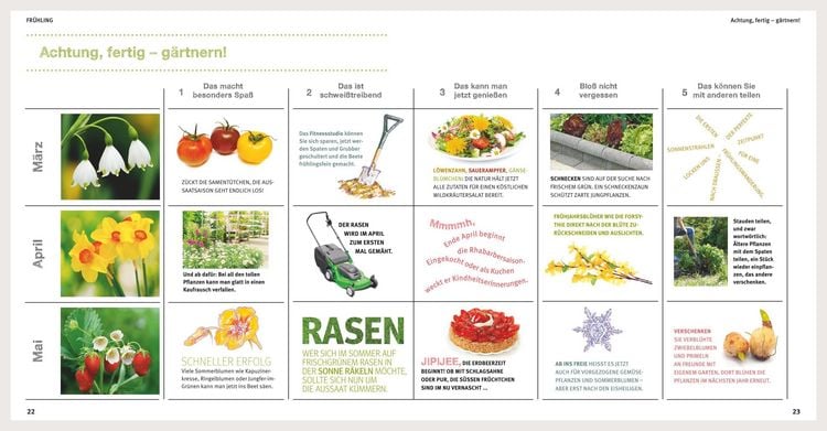 Produktbild: Garten Basics
