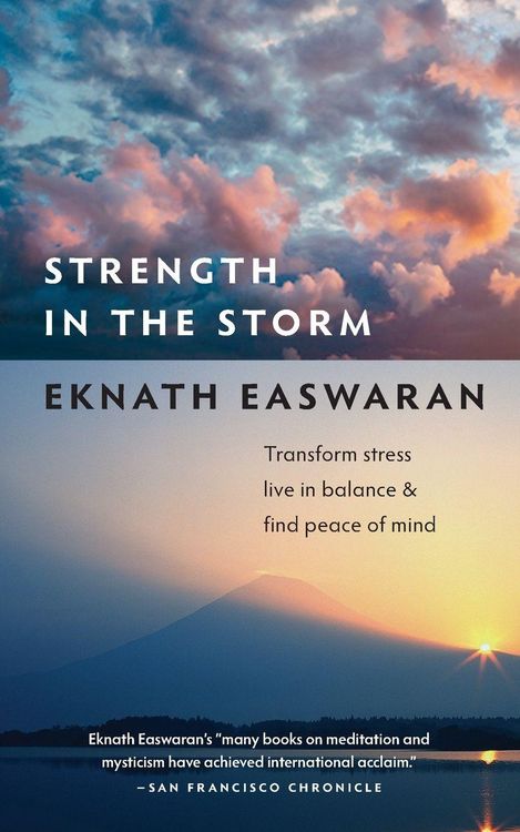 Produktbild: Strength in the Storm