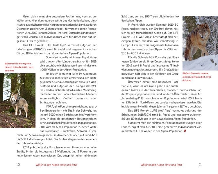 Produktbild: Der Wolf im Visier &ndash; Konflikte und L&ouml;sungsans&auml;tze