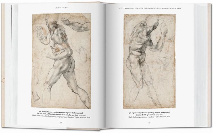 Produktbild: Michelangelo